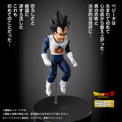 HG Series 贝吉塔-资料图