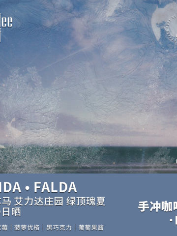 巴拿马绿顶瑰夏FALDA