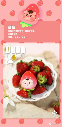 tiny fruit系列-资料图