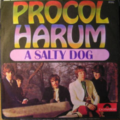 A Salty Dog