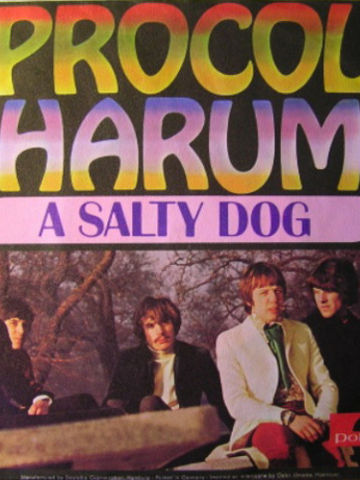 A Salty Dog