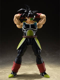 SHF 巴达克-资料图