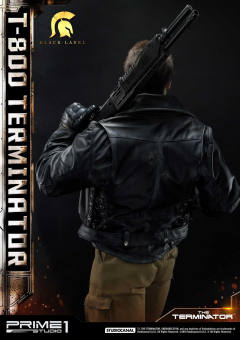 T-800 DX version-资料图
