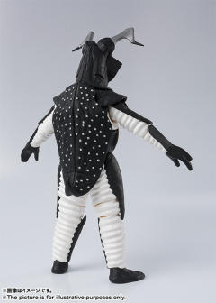 SHF 杰顿-资料图