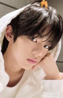 wvs直播卡2 苹果头ver.