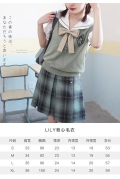 针织毛衣背心-资料图