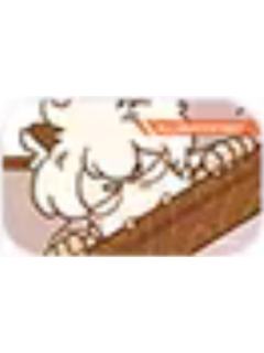 包泥泥10-回忆定格系列马口铁徽章