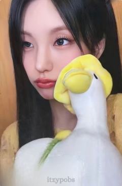 ms台北签售 黄色小鸭ver.A