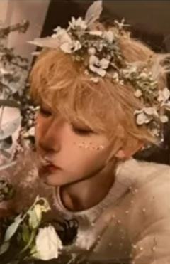 起承转合dvd风花雪夜卡 ver.C
