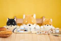 贴贴柴犬LL款-资料图