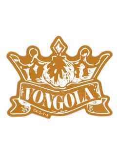 泽田纲吉-Anique快闪属性亚克力徽章