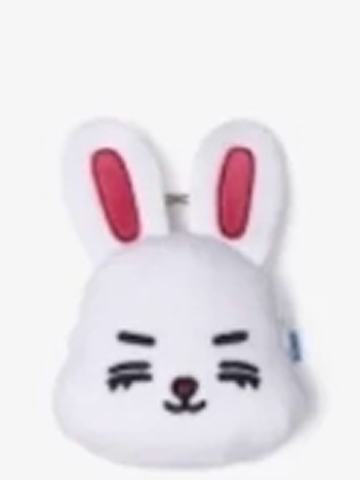 MINITEEN零钱包 澈