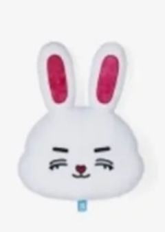 MINITEEN抱枕 澈
