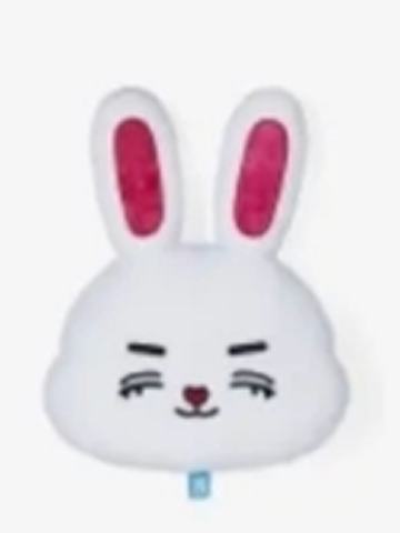 MINITEEN抱枕 澈