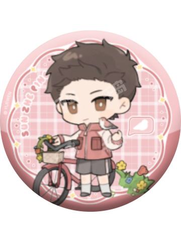 孙哲平(隐藏款)-踏野循迹系列徽章