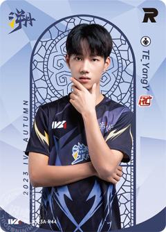 TE_YangY