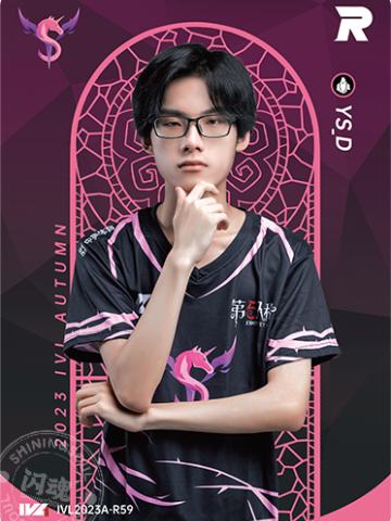 YS_D