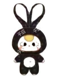 黑色小兔