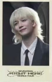高阳dvd wvs净