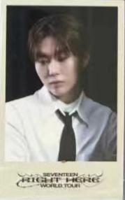 高阳dvd wvs甜