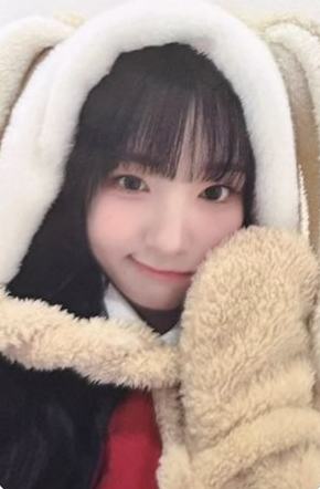hl签售河 兔子毛毯ver.