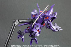 D-Style 武御雷 Type-00R-资料图