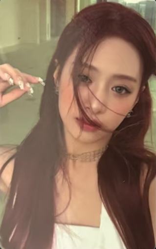一周年pb wvs贤 ver.B