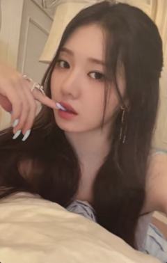 一周年pb wvs茶 ver.B
