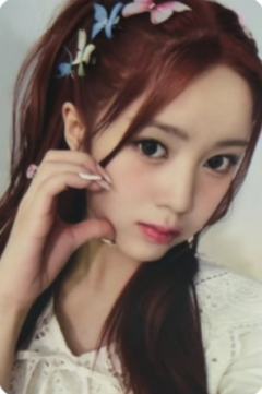 wm预售eli