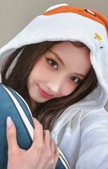 sw9.0 6 仓鼠ver.