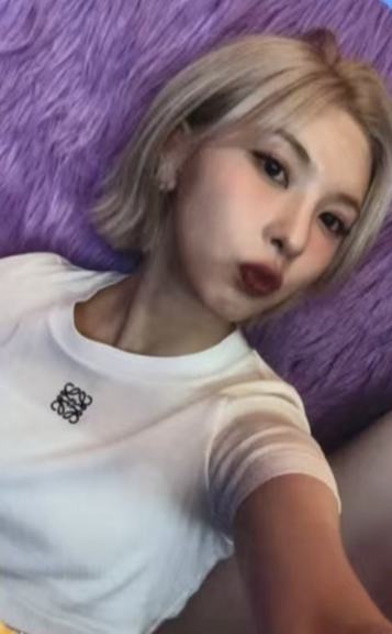 台北入场卡5 day2 ver.