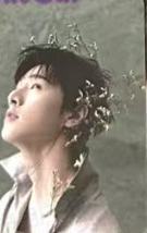 时装男士小卡A版 ver.C