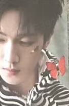 时装男士小卡B版 ver.B