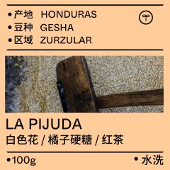 洪都拉斯LA PIJUDA水洗瑰夏