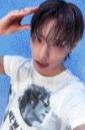 nemoz版专卡1 ver.A