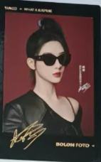 暴龙小卡 ver.E