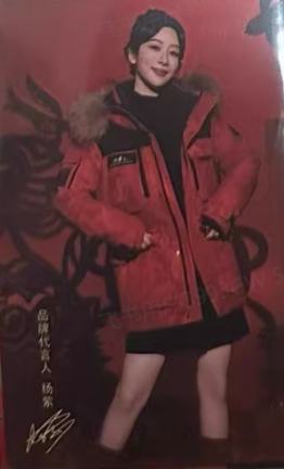 波司登小卡 ver.B