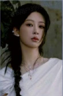 费加罗小卡B版 ver.D