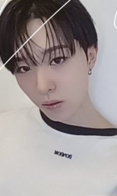 wm预售6