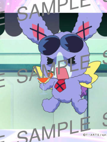 第二集PRIPARL00205-美妙天堂打印相卡