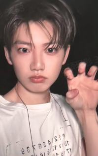 ms上海时间旅行 奎