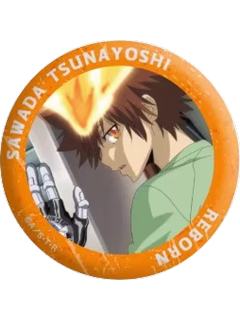 泽田纲吉2-泽田纲吉场面写个人池吧唧