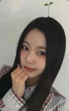 ms7.0 7 幼苗ver.