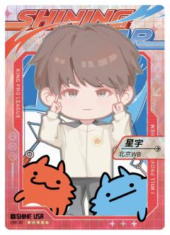 北京WB.星宇