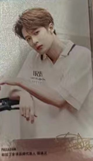 帕拉丁6.0小卡 ver.A