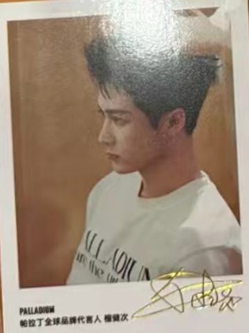 帕拉丁6.0撕拉卡