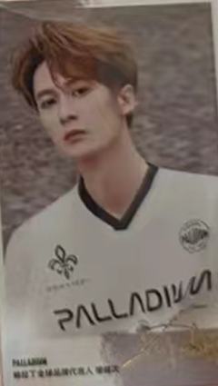 帕拉丁6.0小卡 ver.B