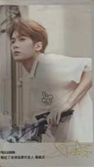 帕拉丁6.0小卡 ver.C