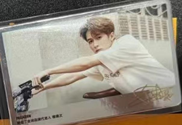 帕拉丁6.0小卡 ver.D