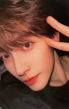 24超订冬日卡 ver.B